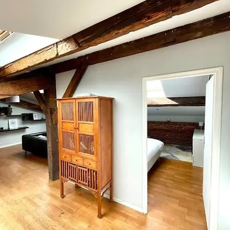 Appartement Le Charmeur - Climatise Avec 2 Chambres - Hypercentre