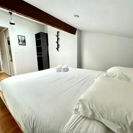 Appartement Le Charmeur - Climatise Avec 2 Chambres - Hypercentre *