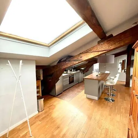 Le Charmeur - Climatise Avec 2 Chambres - Hypercentre *