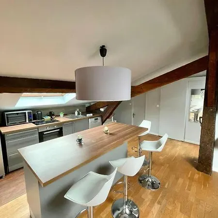 Apartment Le Charmeur - Climatise Avec 2 Chambres - Hypercentre